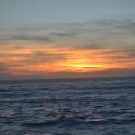 CambriaCN_0174 (November 05, 2016)